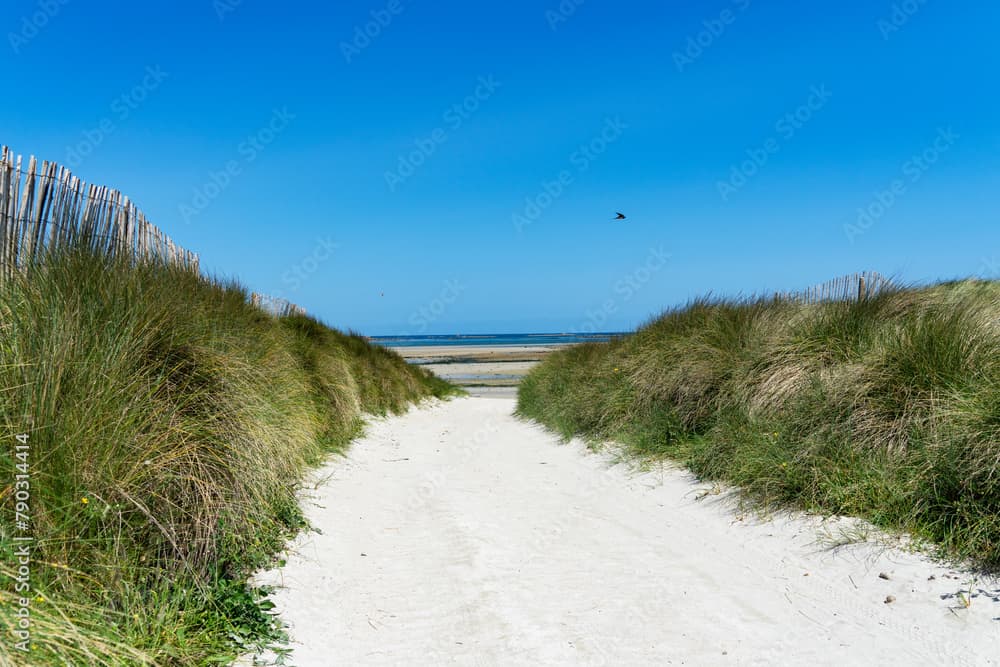 Tout le monde connaît les vers des sables de Dune, mais peu savent ce qu'ils sont vraiment