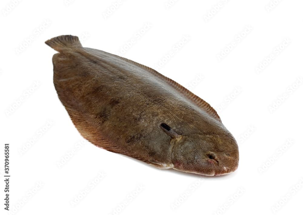 Split Fiction - Comment Échapper au Poisson des Sables