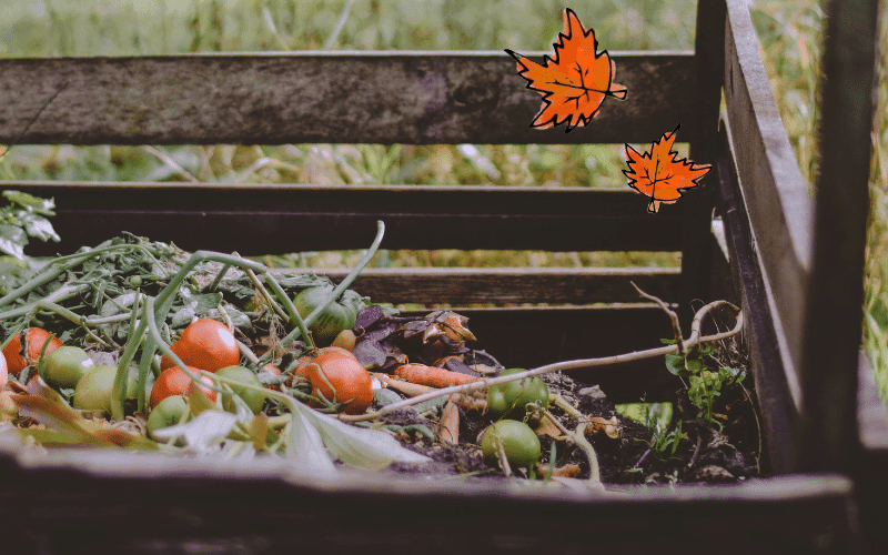 Maîtrisez l'Art Culinaire dans Tales of the Shire : Un Guide Complet