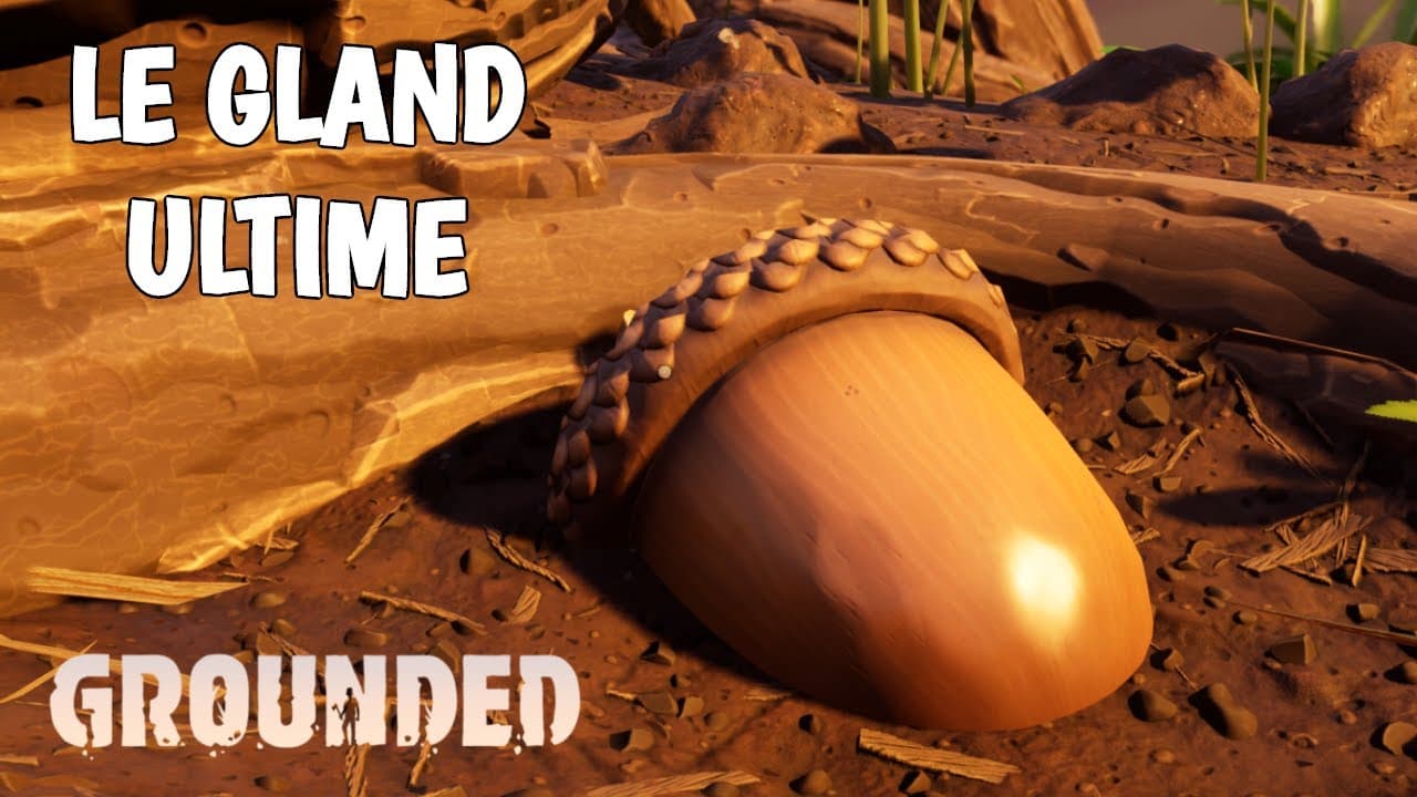 Où trouver les coques et les sommets de glands dans Grounded 2 : Guide Complet