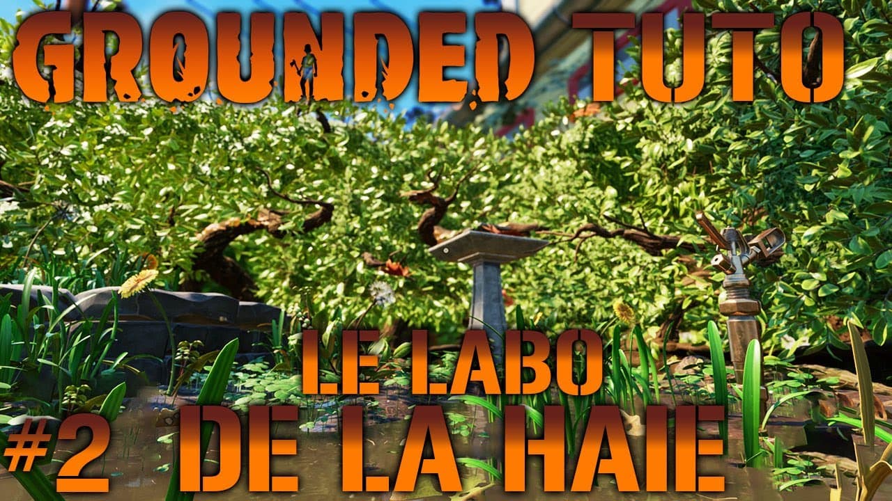 Où trouver des graines d'herbe dans Grounded 2 : Guide complet et astuces