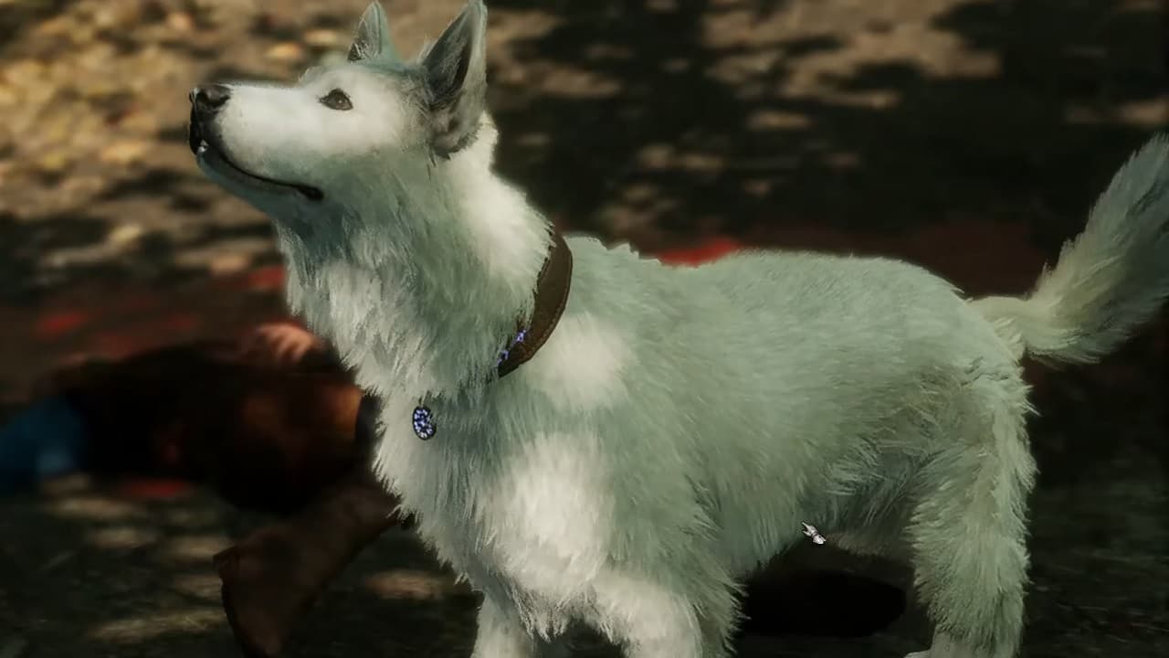 Baldur’s Gate 3 : Le meilleur chien du monde peut même négocier avec des démons