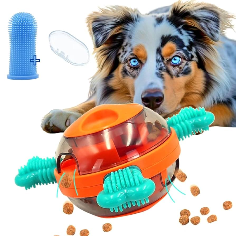 Les jeux de chiens : une tendance à venir ? Les jeux de chiens : une tendance à venir ?