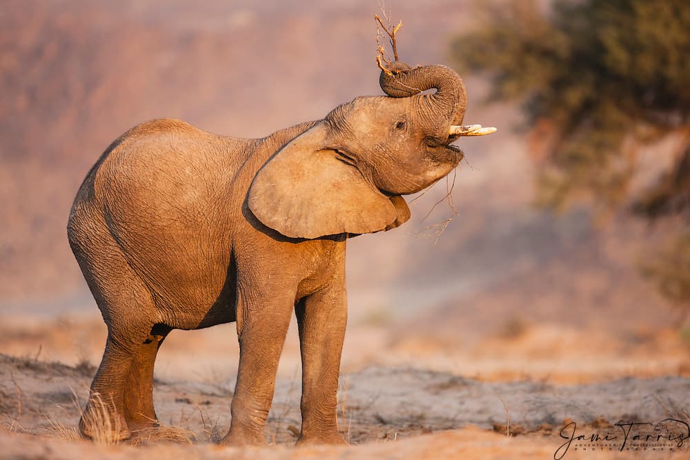 Si Adolescence vous a plu, Elephant de Gus Van Sant sur Max est à voir absolument