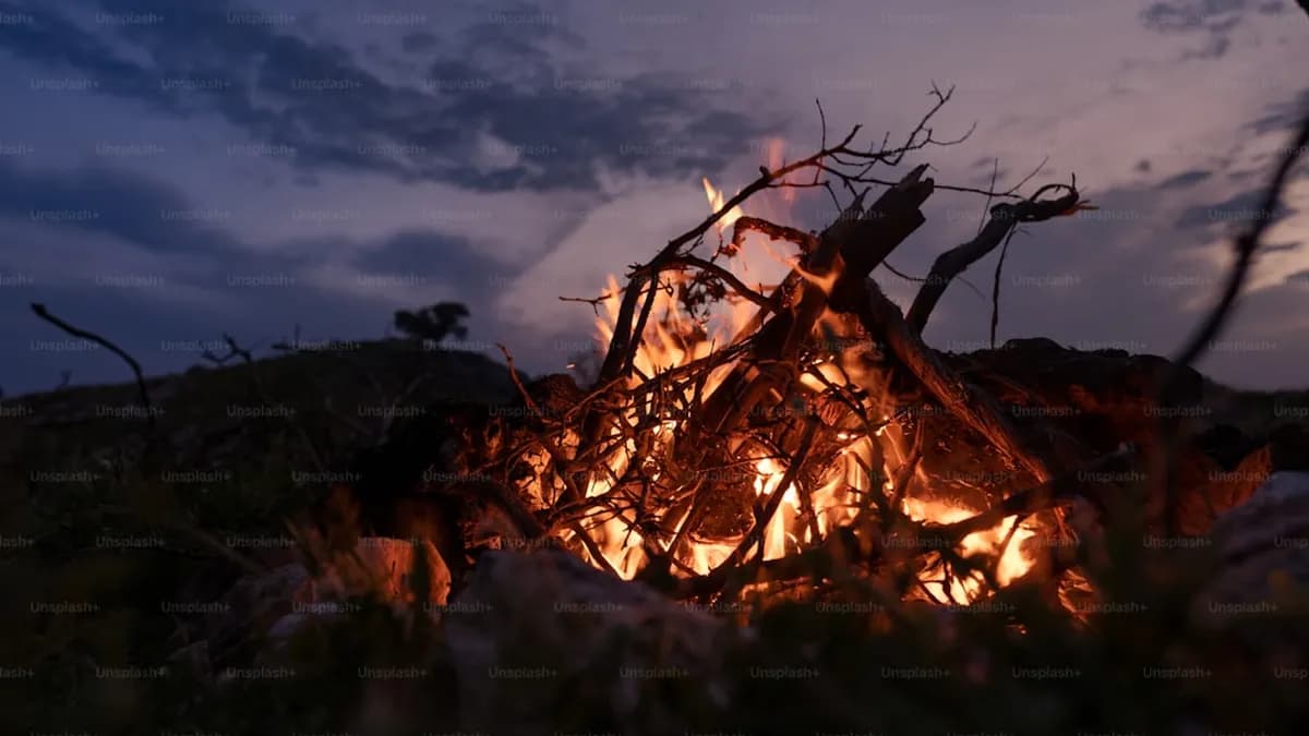 Guide ULTIME pour terminer TOUTES les quêtes principales dans **The Forge (Roblox)** – Localisation des PNJ, astuces et récompenses cachées Guide ULTIME pour terminer TOUTES les quêtes principales dans **The Forge (Roblox)** – Localisation des PNJ, astuces et récompenses cachées