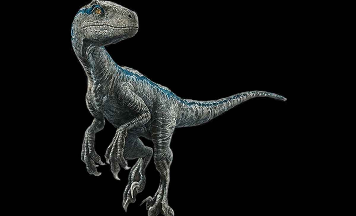 Scène supprimée de Jurassic World : Renaissance révèle le vrai rôle des vélociraptors Scène supprimée de Jurassic World : Renaissance révèle le vrai rôle des vélociraptors