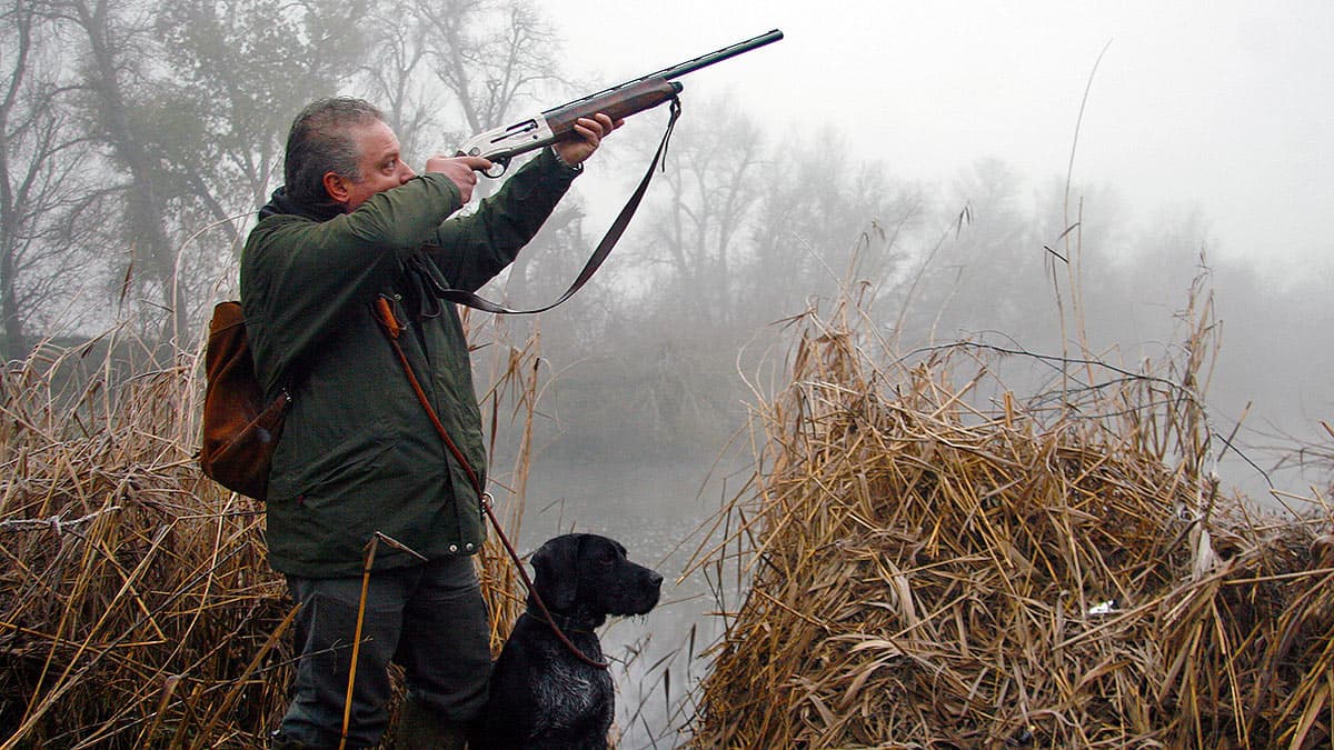 **Caza de brujas** : comment Julia Roberts et Prime Video transforment un échec en salles en triomphe streaming **Caza de brujas** : comment Julia Roberts et Prime Video transforment un échec en salles en triomphe streaming