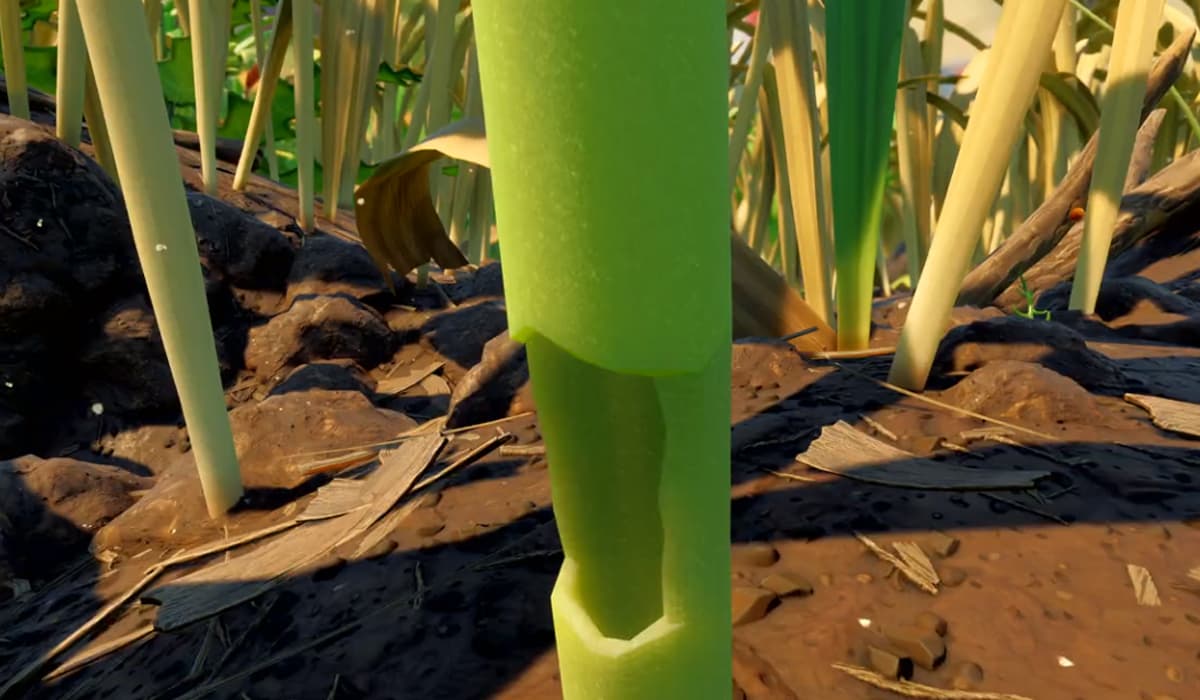 Où trouver les tiges de mauvaises herbes dans Grounded 2 : Guide Complet Où trouver les tiges de mauvaises herbes dans Grounded 2 : Guide Complet