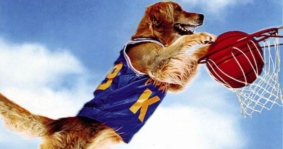 Air Bud Returns : Le retour légendaire du golden retriever basketteur Air Bud Returns : Le retour légendaire du golden retriever basketteur