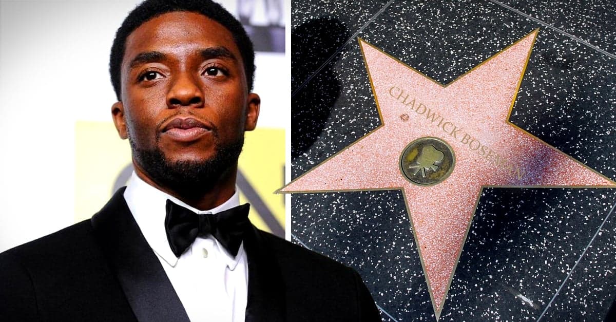 Chadwick Boseman : Une Étoile Posthume sur le Paseo de la Fama, Symbole d’un Héritage Éternel Chadwick Boseman : Une Étoile Posthume sur le Paseo de la Fama, Symbole d’un Héritage Éternel