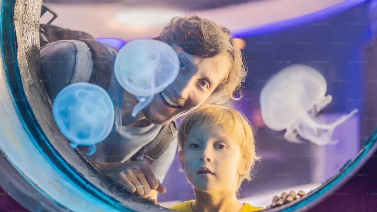 L'avenir incertain de Doctor Who : les fans devront s'armer de patience