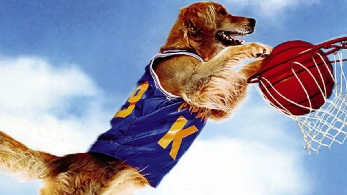 Air Bud Returns : Le retour légendaire du golden retriever basketteur