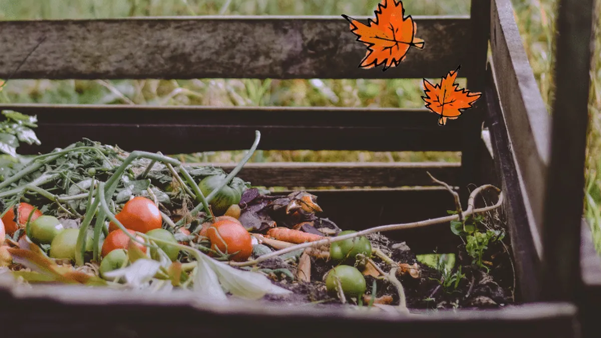 Maîtrisez l'Art Culinaire dans Tales of the Shire : Un Guide Complet