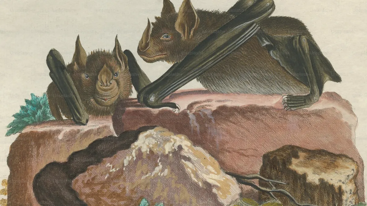 Janjucetus, le "Pokémon préhistorique" qui défie l’évolution des cétacés