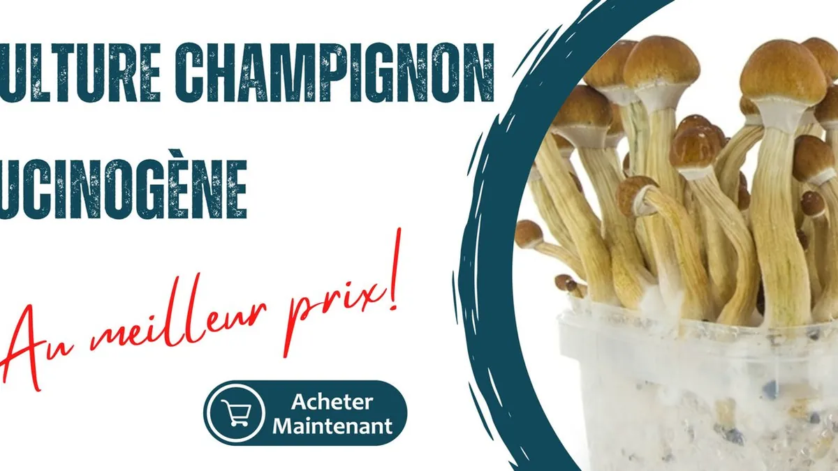 Les champignons hallucinogènes débarquent dans *Schedule 1* après une victoire écrasante au vote communautaire