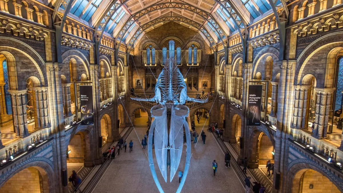 Pokémon s’installe au Musée d’Histoire Naturelle de Londres : entre célébration et crainte des revendeurs