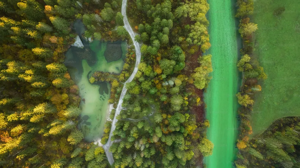 Pacific Drive : Whispers in the Woods débarque sans crier gare – et s’invite enfin sur Xbox !